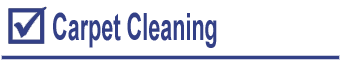 Carpet Cleaning